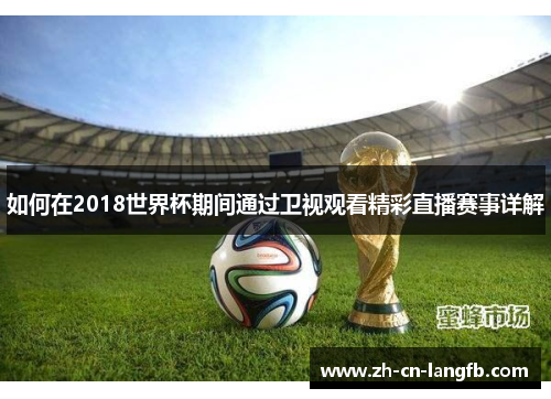 如何在2018世界杯期间通过卫视观看精彩直播赛事详解