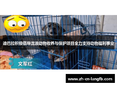 迪巴拉积极倡导流浪动物收养与保护项目全力支持动物福利事业