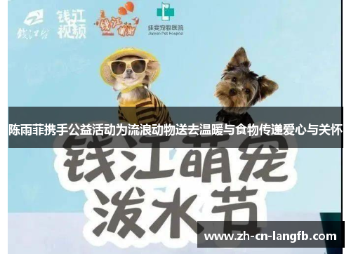 陈雨菲携手公益活动为流浪动物送去温暖与食物传递爱心与关怀 陈雨菲携手公益活动为流浪动物送去温暖与食物传递爱心与关怀